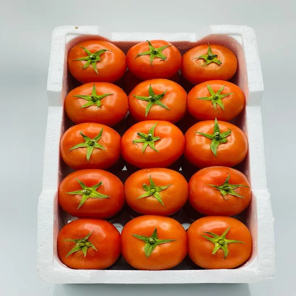 Protected Tomatoes
